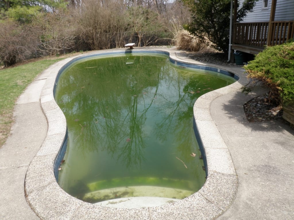 Renovation Pools